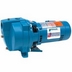 Shallow Well Pump