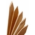 Survey Stakes