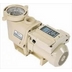 Pool Pumps