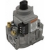 Raypak Heater Parts