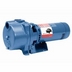 Pumps & Motors